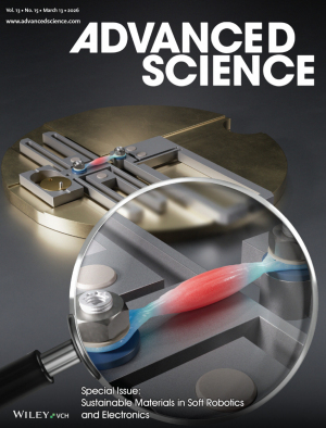 191_cover
